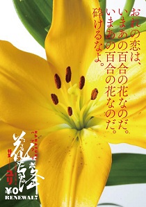 花降 HANAFURI