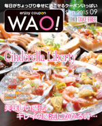 enjoy coupon WAO!