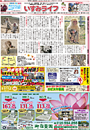 いすみライフ