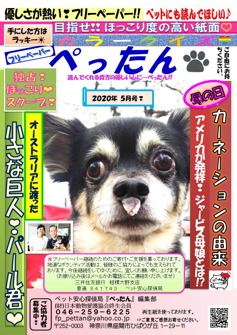 　ぺったん