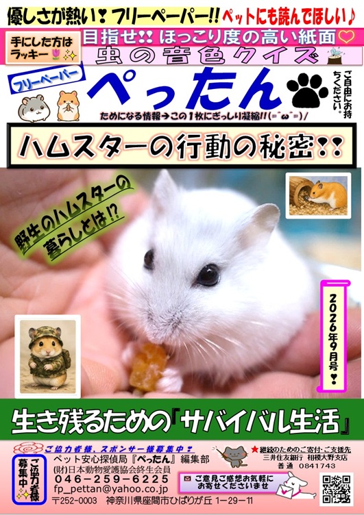 　ぺったん